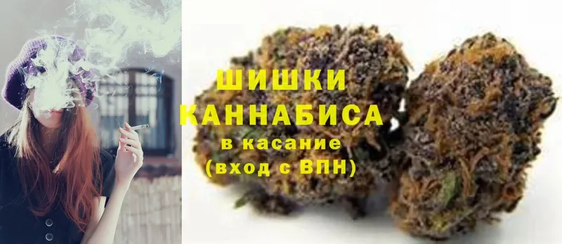 Бошки марихуана Amnesia  Балашиха 